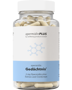 Spermidin Gedächtnis